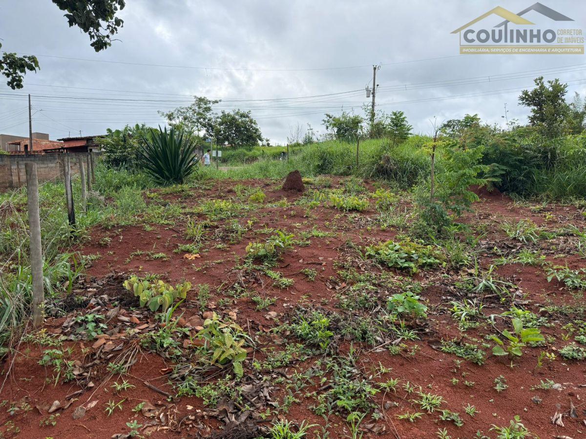 WhatsApp Image 2026-02-08 at 16.03.19 (1).jpeg